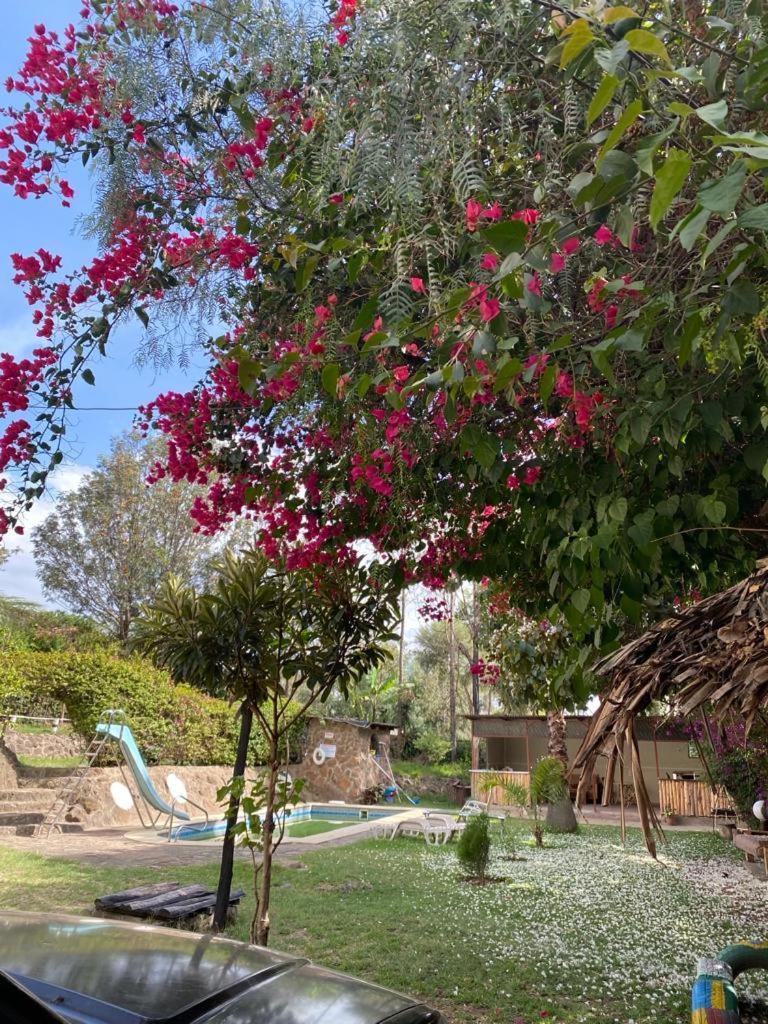 Guesthousejane Villa & Apartments Naivasha Εξωτερικό φωτογραφία